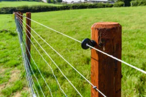 Electric Fence for Agricultural - AMS Electric Fence